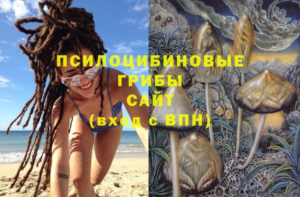 a pvp Армянск